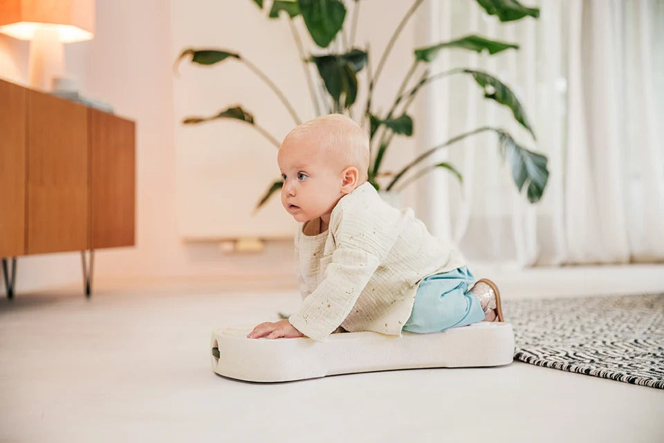 Baby crawling on a cushion in a room with plants and furniture.