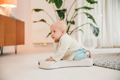 Baby crawling on a cushion in a room with plants and furniture.