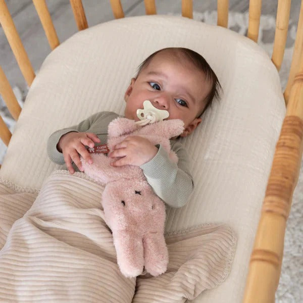 Baby lying in a crib with a pink elephant toy and pacifier