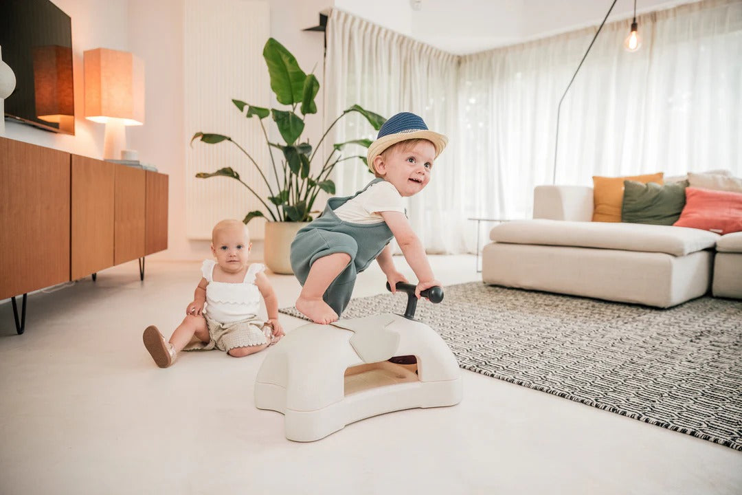 Two children playing on a toy in a living room with a couch and plants.
