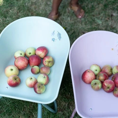 Two wheelbarrows filled with apples on a grassy background