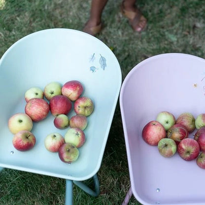 Two wheelbarrows filled with apples on a grassy background