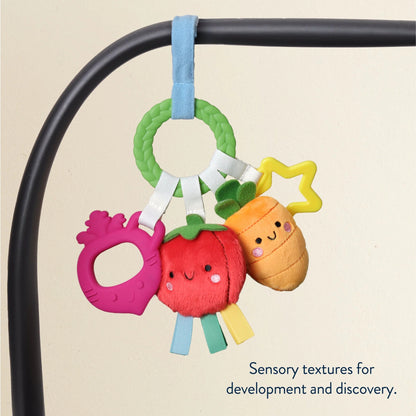 Teething Activity Toy with Sensory Textures and Interactive Features