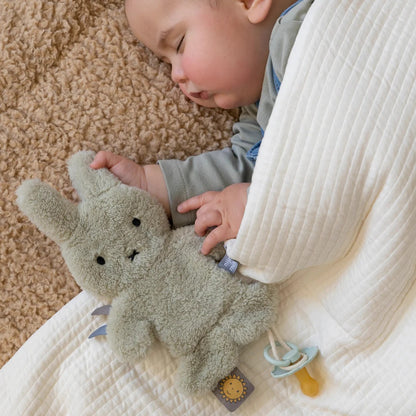 Dummy Cloth Soft Baby Comforter with Crinkle Texture and Loop