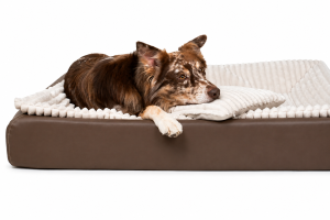 Alternative view of Orthopedic Dog Bed Bundle with Insert and Snuggle Pillow