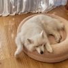 Teddy Cover Curl