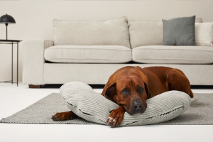 Alternative view of Corduroy Dog Bolster Pillow with Supportive Filling