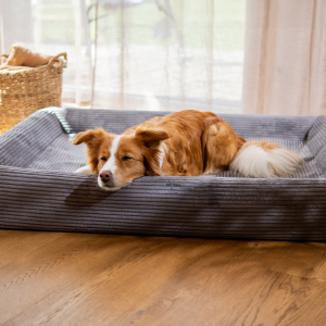 Alternative view of Orthopedic Dog Bed in Cozy Corduroy - KUDDE